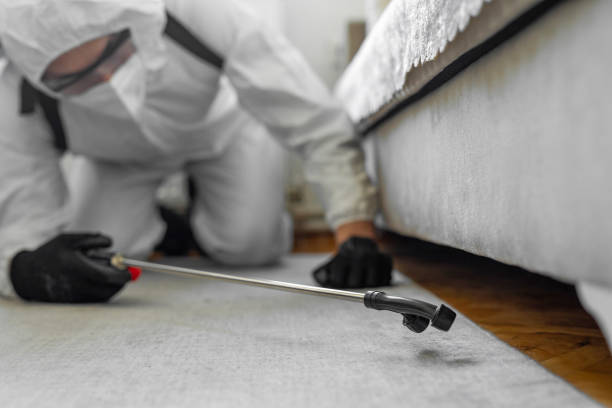 Professional Cockroach Control technician working in Mount Ida, AR