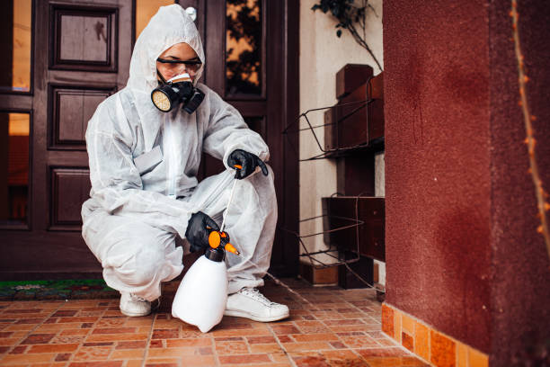 Reliable Cockroach Control contractor in Mount Ida, AR by Nex Pest Control