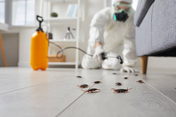 Affordable Cockroach Control solutions in Mount Ida, AR